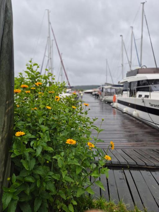 Pensjonat Rybaczowka - Noclegi, Restauracja, Port Bogaczewo  Exterior foto